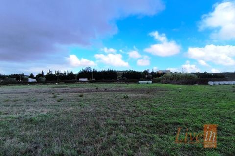 Helårsgrund i Lousa, Coimbra, Lousa - € 850.000 | Ref: 9851RP - foto 11