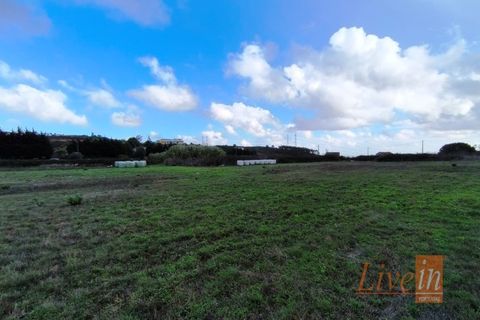 Helårsgrund i Lousa, Coimbra, Lousa - € 850.000 | Ref: 9851RP - foto 12