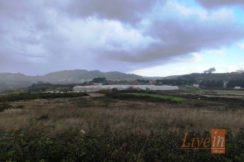 Helårsgrund i Lousa, Coimbra, Lousa - € 850.000 | Ref: 9851RP - foto 13