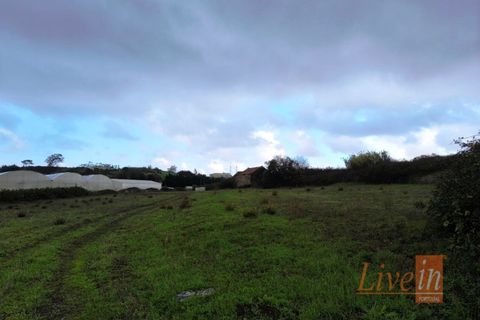 Helårsgrund i Lousa, Coimbra, Lousa - € 850.000 | Ref: 9851RP - foto 14