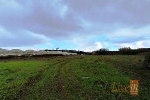 Helårsgrund i Lousa, Coimbra, Lousa - € 850.000 | Ref: 9851RP - foto 15