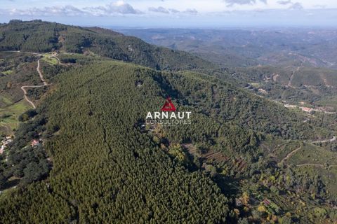 Helårsgrund i Monchique, Faro, Monchique - € 350.000 | Ref: ACA732 - foto 2