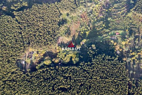 Helårsgrund i Monchique, Faro, Monchique - € 350.000 | Ref: ACA732 - foto 3