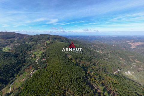 Helårsgrund i Monchique, Faro, Monchique - € 350.000 | Ref: ACA732 - foto 5