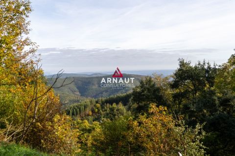 Helårsgrund i Monchique, Faro, Monchique - € 350.000 | Ref: ACA732 - foto 6
