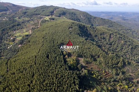 Helårsgrund i Monchique, Faro, Monchique - € 350.000 | Ref: ACA732 - foto 7