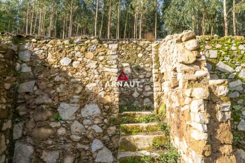 Helårsgrund i Monchique, Faro, Monchique - € 350.000 | Ref: ACA732 - foto 8