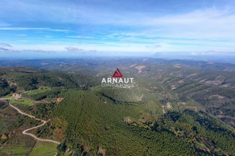 Helårsgrund i Monchique, Faro, Monchique - € 350.000 | Ref: ACA732 - foto 11