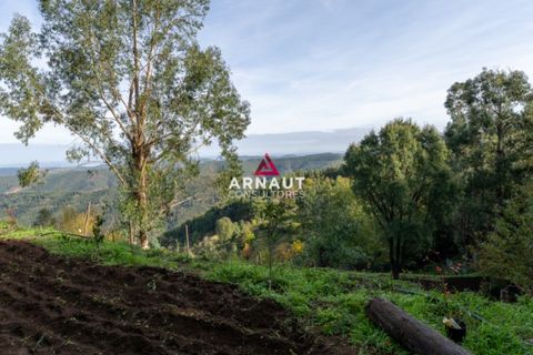 Helårsgrund i Monchique, Faro, Monchique - € 350.000 | Ref: ACA732 - foto 14