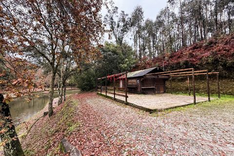 Villa i Celorico de Basto, Braga, Celorico de Basto - € 68.000 | Ref: NOVA-ER-2389 - foto 4