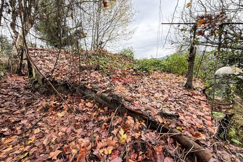 Villa i Celorico de Basto, Braga, Celorico de Basto - € 68.000 | Ref: NOVA-ER-2389 - foto 6