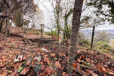 Villa i Celorico de Basto, Braga, Celorico de Basto - € 68.000 | Ref: NOVA-ER-2389 - foto 8