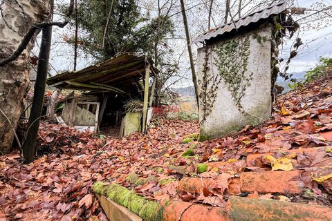 Villa i Celorico de Basto, Braga, Celorico de Basto - € 68.000 | Ref: NOVA-ER-2389 - foto 22