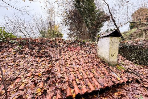 Villa i Celorico de Basto, Braga, Celorico de Basto - € 68.000 | Ref: NOVA-ER-2389 - foto 23