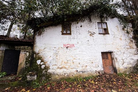 Villa i Celorico de Basto, Braga, Celorico de Basto - € 68.000 | Ref: NOVA-ER-2389 - foto 24