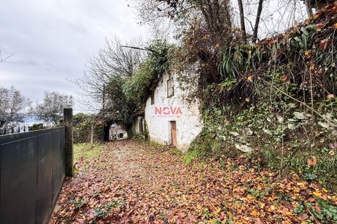 Villa i Celorico de Basto, Braga, Celorico de Basto - € 68.000 | Ref: NOVA-ER-2389 - foto 25