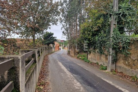 Helårsgrund i Estarreja, Aveiro, Estarreja - € 65.000 | Ref: AV2702 - foto 3