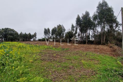 Helårsgrund i Estarreja, Aveiro, Estarreja - € 65.000 | Ref: AV2702 - foto 5