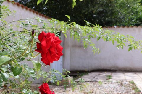 Villa i Barzan, Charente-Maritime, Barzan - € 244.750 | Ref: BA4215 - foto 16