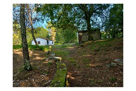 Villa i Arcos de Valdevez, Viana do Castelo, Arcos de Valdevez - € 67.000 | Ref: 1074-96 - foto 15