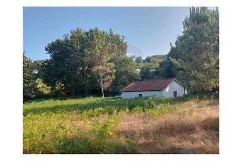 Villa i Arcos de Valdevez, Viana do Castelo, Arcos de Valdevez - € 67.000 | Ref: 1074-96 - foto 17