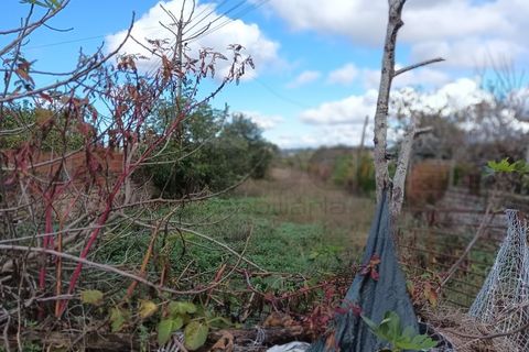 Villa a Arouca, Aveiro, Arouca - € 75.000 | Ref: AV25/201 - foto 21