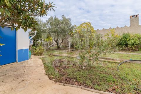 Villa a Colos, Beja, Colos - € 315.000 | Ref: HT_50208 - foto 15
