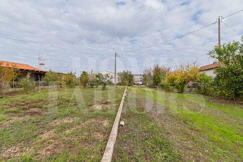 Villa a Colos, Beja, Colos - € 315.000 | Ref: HT_50208 - foto 26