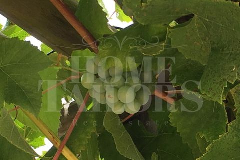 Villa a Colos, Beja, Colos - € 315.000 | Ref: HT_50208 - foto 28