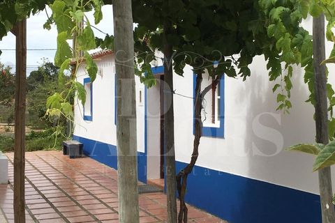 Villa a Colos, Beja, Colos - € 315.000 | Ref: HT_50208 - foto 29