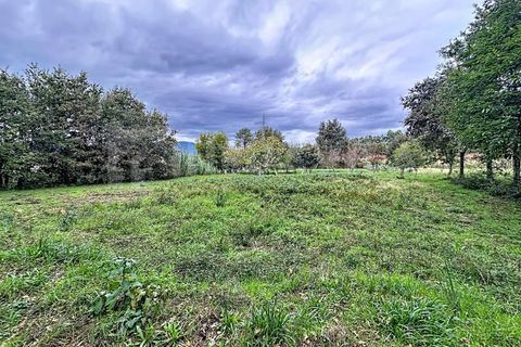 Terra a Ganfei, Viana do Castelo, Ganfei - € 49.000 | Ref: 2742 - foto 6