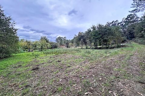 Terra a Ganfei, Viana do Castelo, Ganfei - € 49.000 | Ref: 2742 - foto 9
