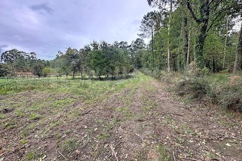 Terra a Ganfei, Viana do Castelo, Ganfei - € 49.000 | Ref: 2742 - foto 10