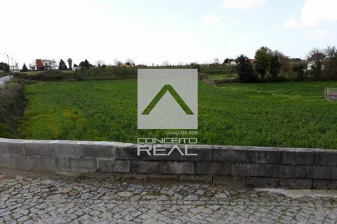 Tomt i Vila do Conde, Porto, Vila do Conde - € 95 000 | Ref: CR1670 - foto 2