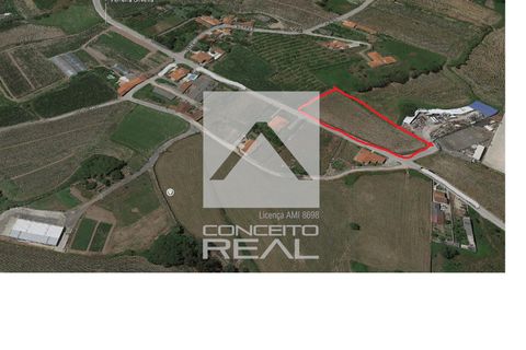 Tomt i Vila do Conde, Porto, Vila do Conde - € 95 000 | Ref: CR1670 - foto 4