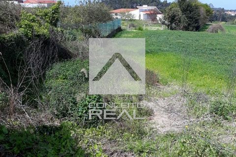 Tomt i Vila do Conde, Porto, Vila do Conde - € 95 000 | Ref: CR1670 - foto 5