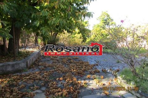 Villa i Adrano, Catania, Adrano - € 130.000 | Ref: 2654 - foto 8