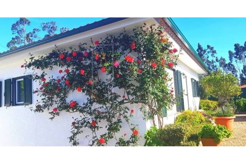 Villa i Esposende, Braga, Esposende - € 1.360.000 | Ref: 2129 - foto 2