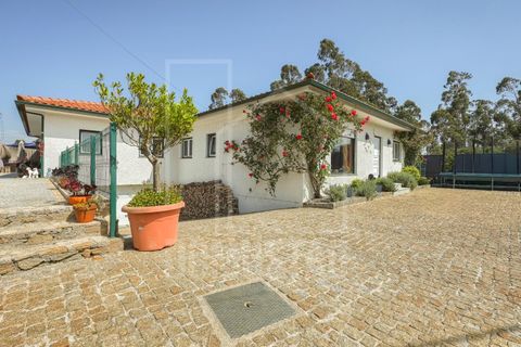 Villa i Esposende, Braga, Esposende - € 1 360 000 | Ref: 2129 - foto 30