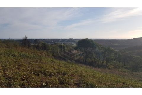 Helårsgrund i Tavira, Faro, Tavira - € 57.000 | Ref: SÒL_49919 - foto 14