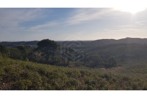 Helårsgrund i Tavira, Faro, Tavira - € 57.000 | Ref: SÒL_49919 - foto 15