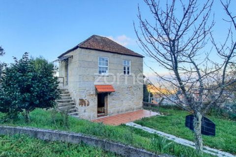 Farm i Cinfaes, Viseu, Cinfaes - € 299.000 | Ref: ZMPT583026 - foto 3