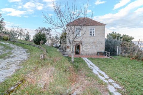 Farm i Cinfaes, Viseu, Cinfaes - € 299.000 | Ref: ZMPT583026 - foto 7