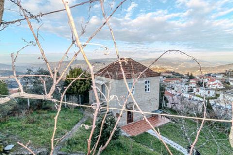 Farm i Cinfaes, Viseu, Cinfaes - € 299.000 | Ref: ZMPT583026 - foto 14
