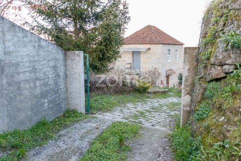 Farm i Cinfaes, Viseu, Cinfaes - € 299.000 | Ref: ZMPT583026 - foto 15