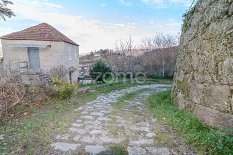 Farm i Cinfaes, Viseu, Cinfaes - € 299.000 | Ref: ZMPT583026 - foto 16