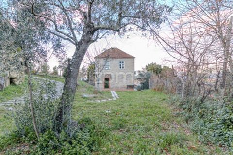 Farm i Cinfaes, Viseu, Cinfaes - € 299.000 | Ref: ZMPT583026 - foto 17
