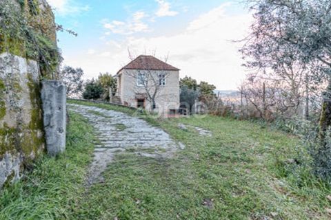 Farm i Cinfaes, Viseu, Cinfaes - € 299.000 | Ref: ZMPT583026 - foto 18