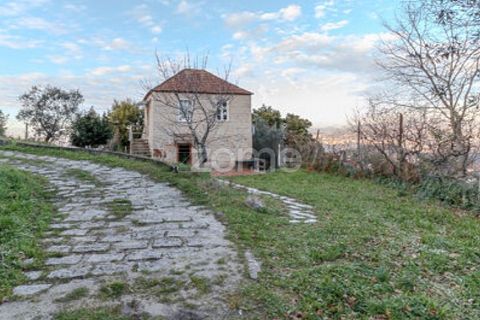 Farm i Cinfaes, Viseu, Cinfaes - € 299.000 | Ref: ZMPT583026 - foto 20