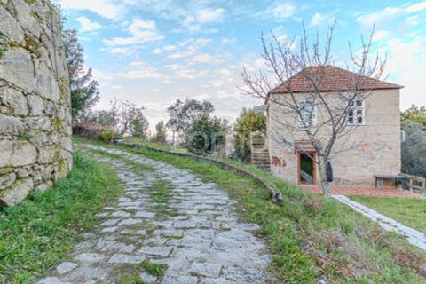 Farm i Cinfaes, Viseu, Cinfaes - € 299.000 | Ref: ZMPT583026 - foto 21